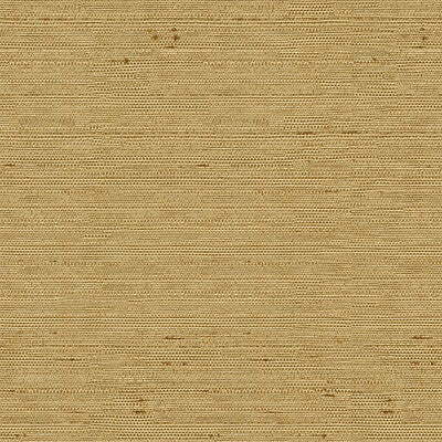 KRAVET BASICS