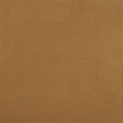 KRAVET DESIGN
