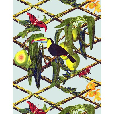 TUCAN