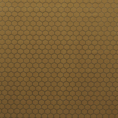 HEXA