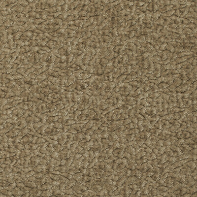 BARTON CHENILLE