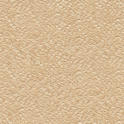 KRAVET BASICS