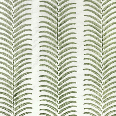 PLANTAE