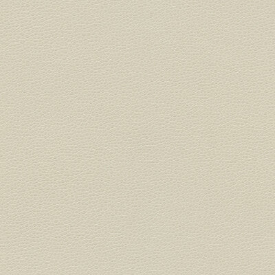 KRAVET DESIGN