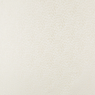 KRAVET BASICS