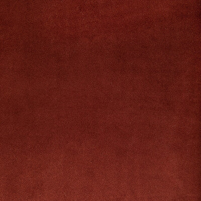 ROCCO VELVET