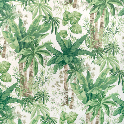 JUNGLEWOOD WP