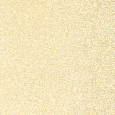 KRAVET DESIGN