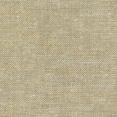 Kravet Design Ultrasuede Green Texture Fabric | Beige/White Polyester Blend Upholstery Fabric (55” Width)