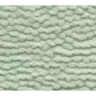 TORTUGAS