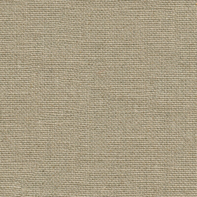 Kravet Design Ultrasuede Green Texture Fabric | Beige Polyester Blend Upholstery Fabric (55” Width)