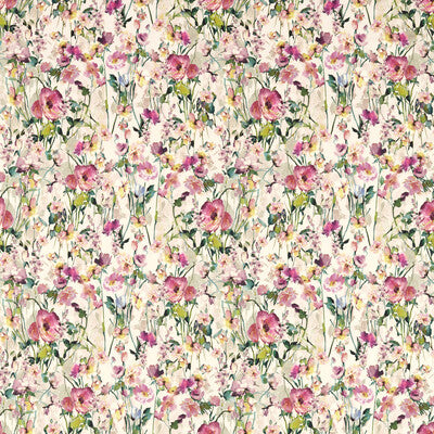 WILD MEADOW