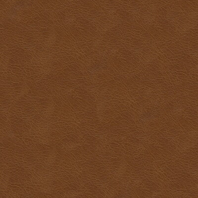 KRAVET DESIGN