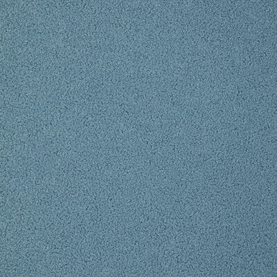 CHENILLE LUSTER