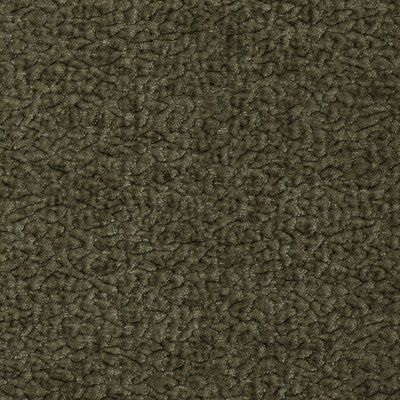 BARTON CHENILLE