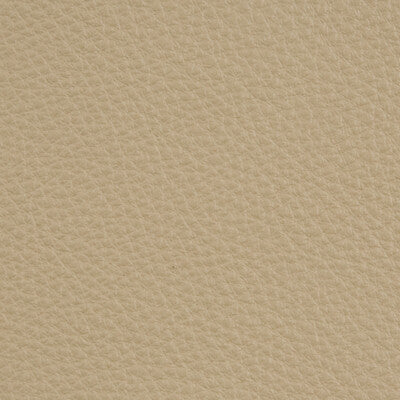 L-DELUXE