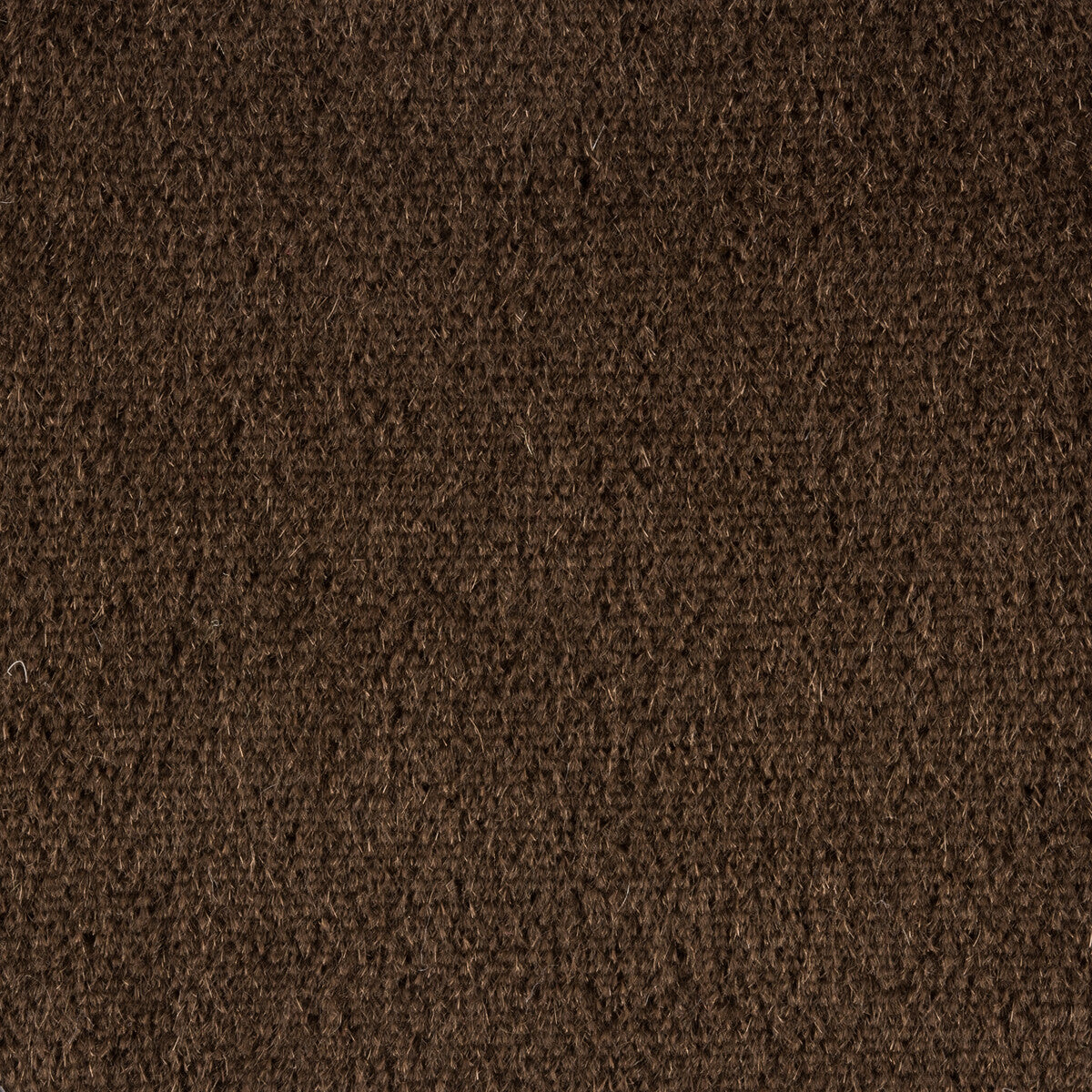 Kravet Couture Plazzo Mohair Texture Fabric – Brown/nan 100% Mohair Luxury Upholstery Fabric (55" Width)