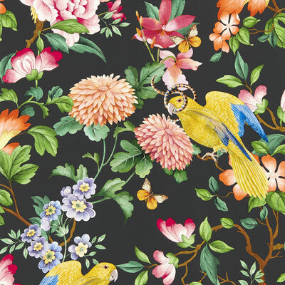 GOLDEN PARROT WP