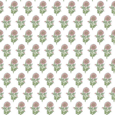 PLASENCIA WP