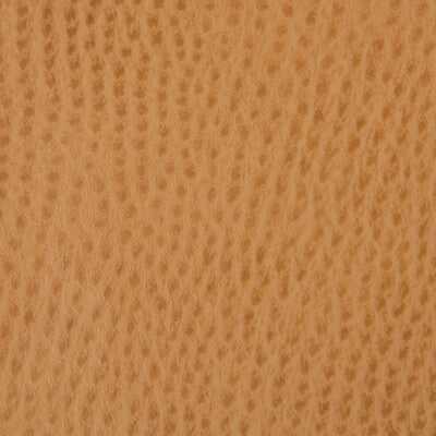 KRAVET SMART