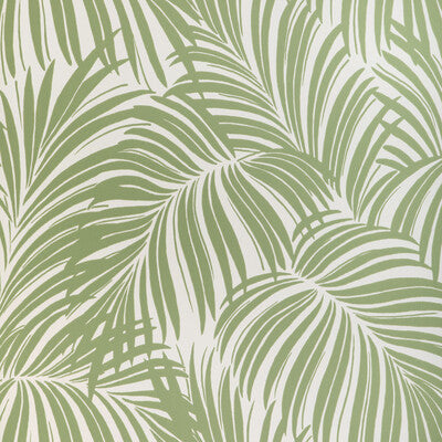 PALM LEAF WP