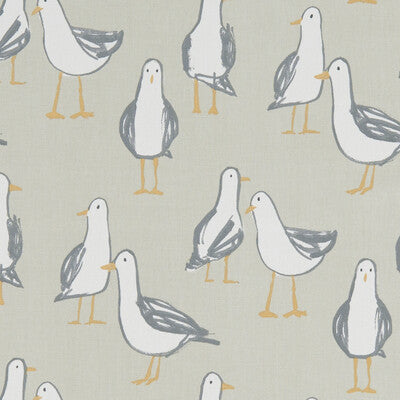 LARIDAE