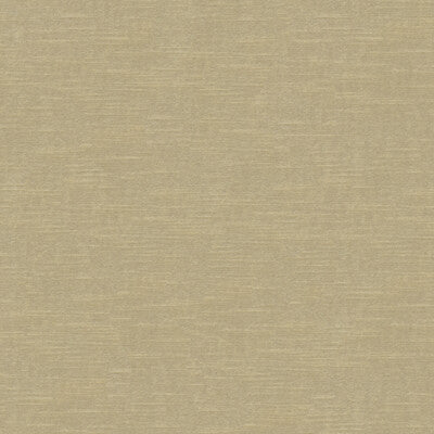 Kravet Design Ultrasuede Green Texture Fabric | Beige Polyester Blend Upholstery Fabric (55” Width)