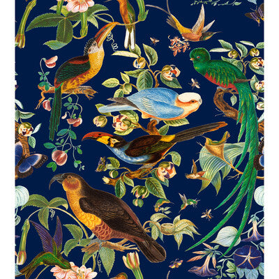 OAXACA