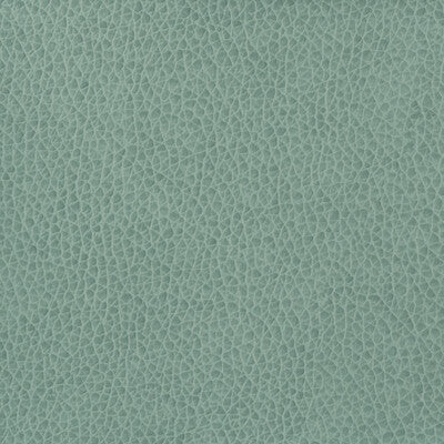 KRAVET BASICS