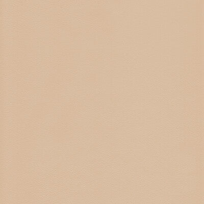 KRAVET DESIGN