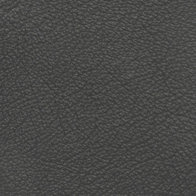 KRAVET DESIGN
