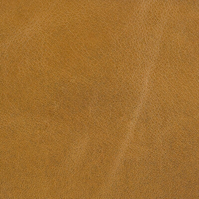 L-UTAH