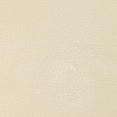 KRAVET DESIGN