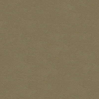 KRAVET DESIGN