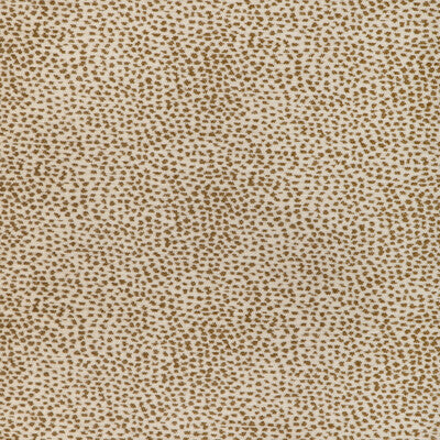 KRAVET DESIGN