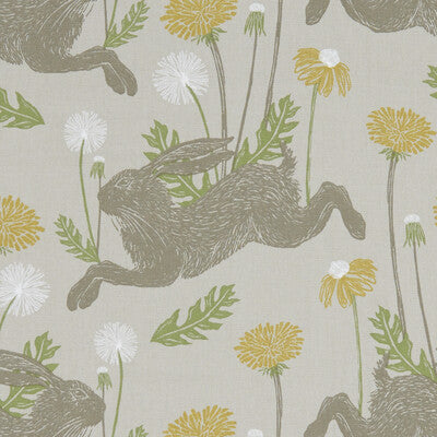 MARCH HARE