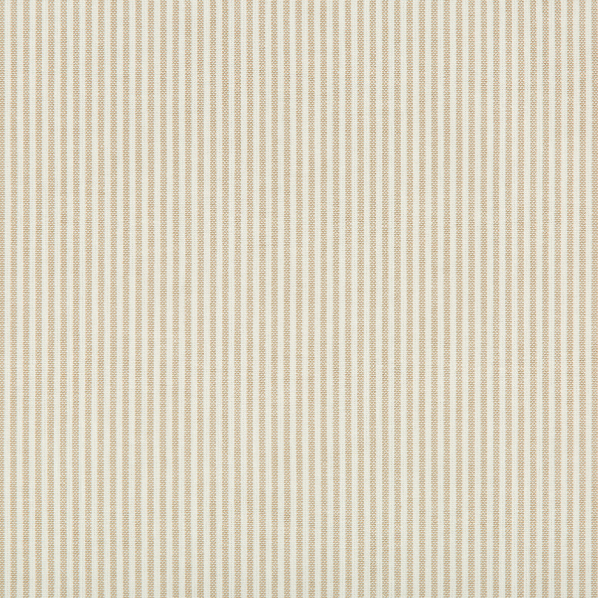 KRAVET BASICS