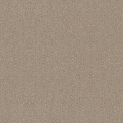 Kravet Design Ultrasuede Green Texture Fabric | Beige Polyester Blend Upholstery Fabric (55” Width)