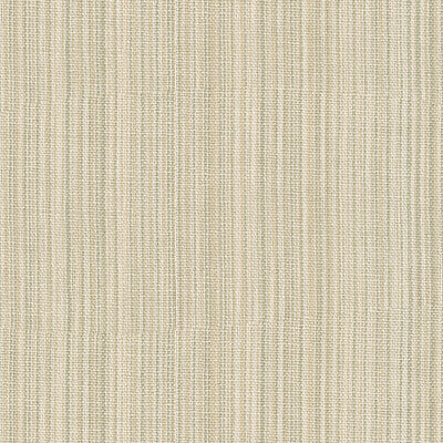 KRAVET BASICS