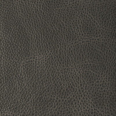 KRAVET DESIGN