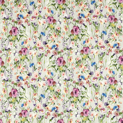 WILD MEADOW