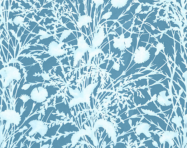 WILDFLOWER