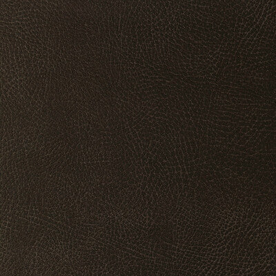 KRAVET DESIGN