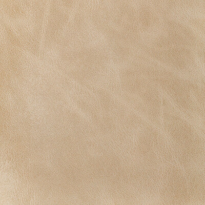 KRAVET DESIGN