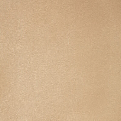 KRAVET DESIGN