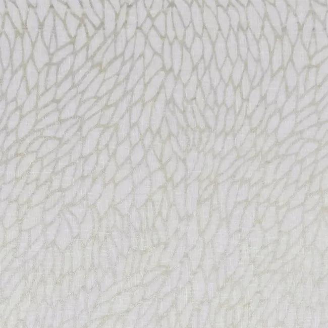 Corallino Sheer - Champagne/Gold