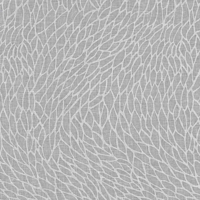 Corallino Sheer - Charcoal