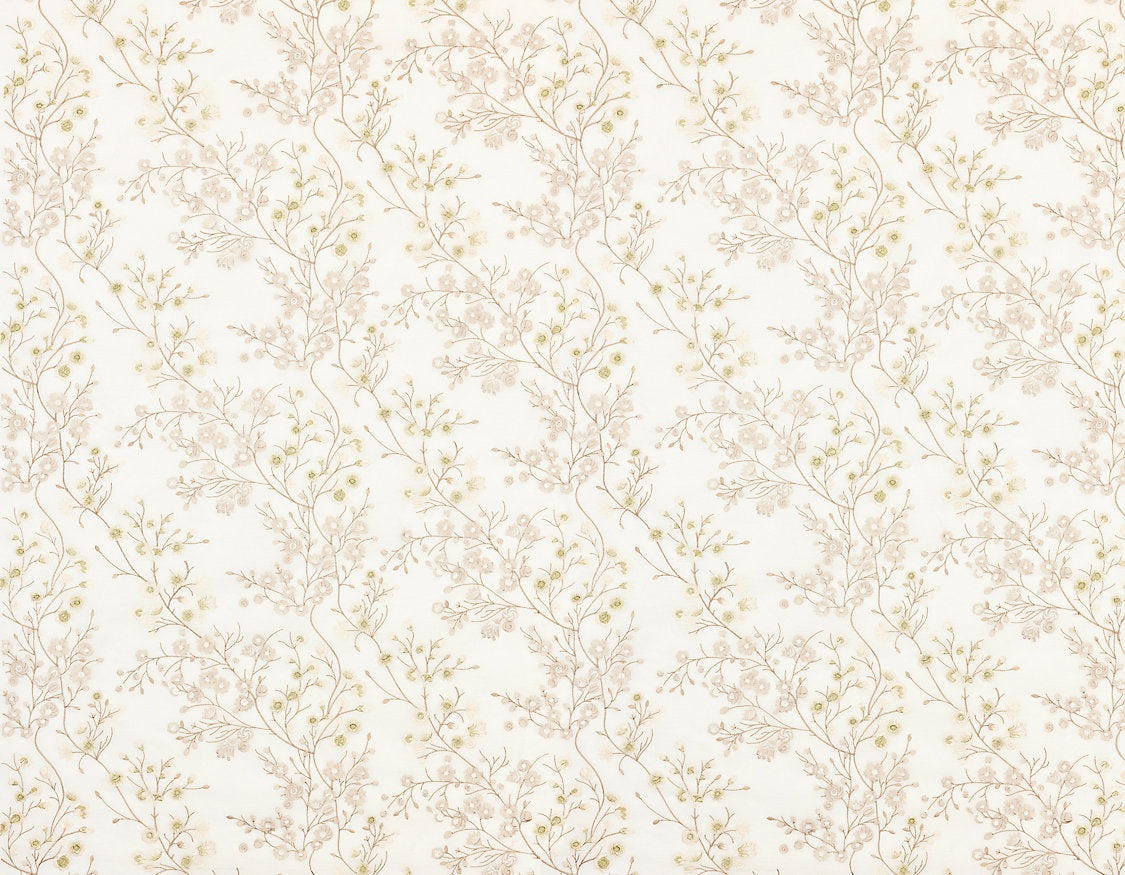 LILETTE SHEER - Ivory